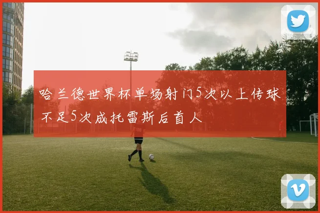 哈兰德世界杯单场射门5次以上传球不足5次成托雷斯后首人